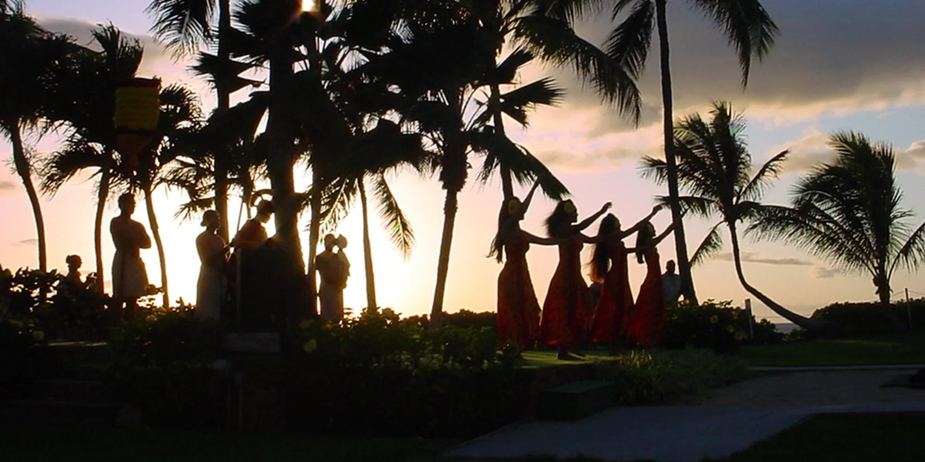 En række hula-dansere i silhuet mod en hawaiiansk solnedgang under palmetræer