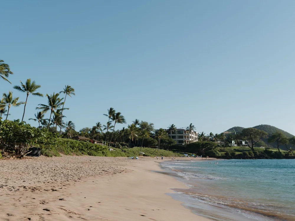 En sandstrand i Kihei med palmetræer, lave grønne bakker og roligt turkisblåt vand under en klar himmel