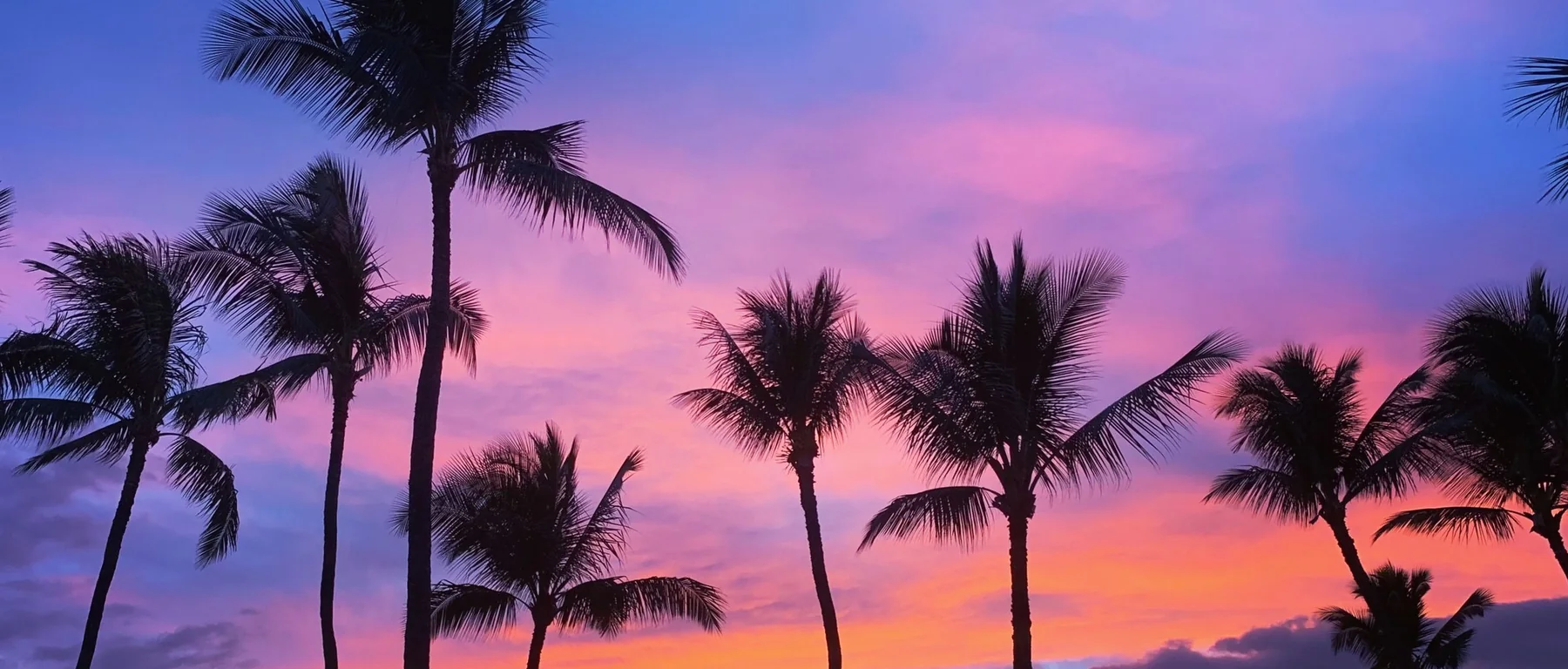 Høje palmetræer i silhuet mod en lyserød og orange solnedgangshimmel over South Maui